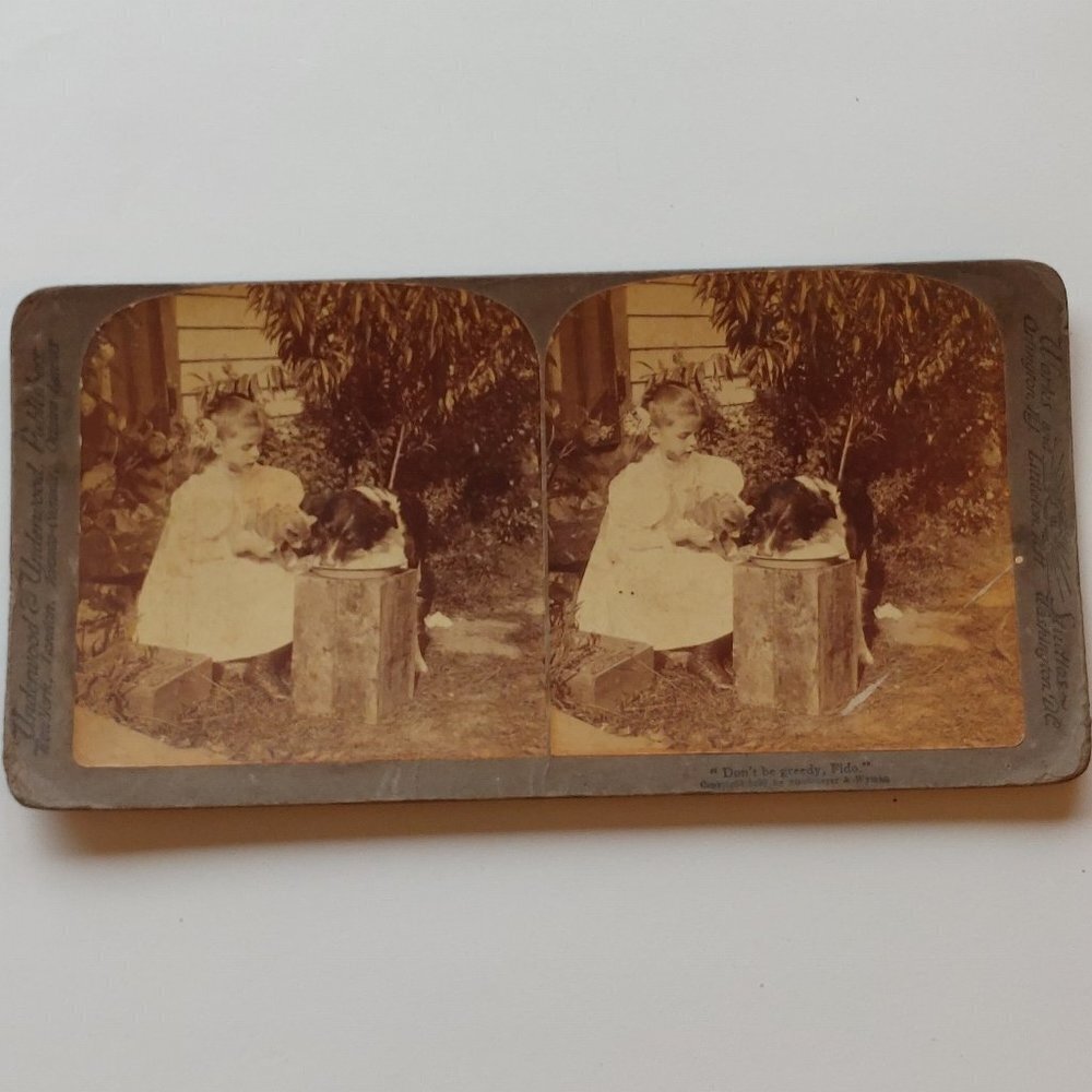 ANTIQUE Stereograph "Don't Be Greedy, Fido" 1897 Strohmeyer and Wyman